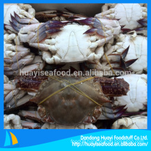 best quality seafood and fresh frozen blue swimming crab